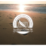 Sensiz